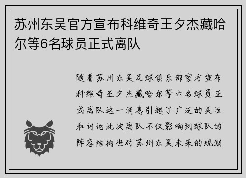 苏州东吴官方宣布科维奇王夕杰藏哈尔等6名球员正式离队