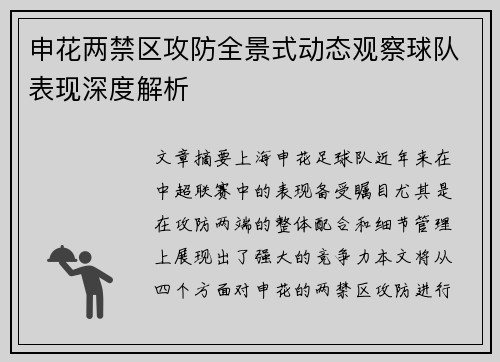 申花两禁区攻防全景式动态观察球队表现深度解析